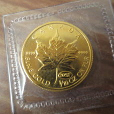 1/10 Unze Gold - Maple Leaf 1999 Privy 20 Years