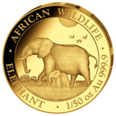 1/50 Unze Gold - Somalia Elefant 2022 Proof