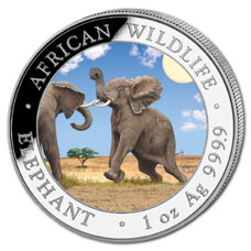 1 Unze - Somalia Elefant 2024 Colored
