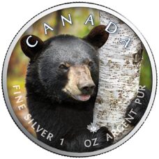1 Unze - Maple Leaf "Canada's Wildlife" 2021 Schwarzbär
