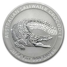 Salzwasser Krokodil (Perth)