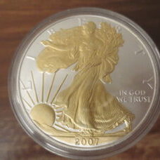 1 Unze - American Eagle 2007 Gilded
