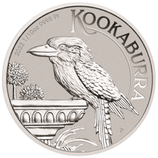 1/10 oz de platine - Kookaburra 2022