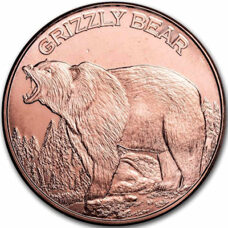 1 Unze Kupfer - USA - Grizzly Bear