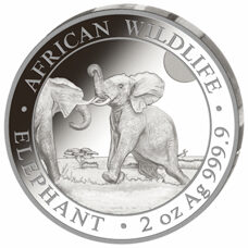 2 Unzen - Somalia Elefant 2024