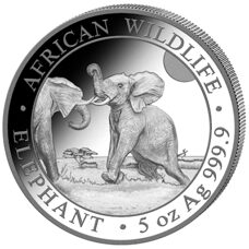 5 Unzen - Somalia Elefant 2024