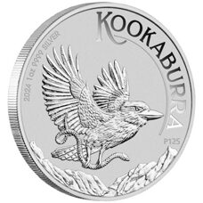 1 oz - Kookaburra 2024
