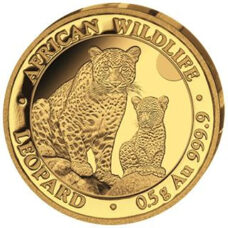 0,5 gramme d'or - Somalie Leopard 2024 PP